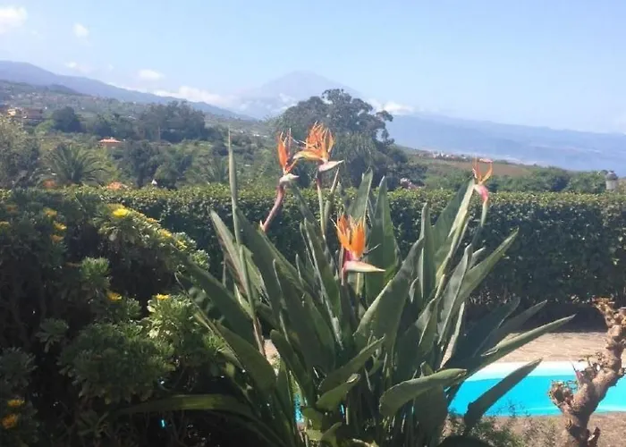 Vinedos By Interhome 別荘