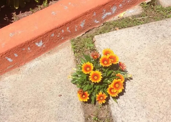 Vinedos By Interhome ラ・カリダー